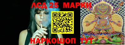 ПСИЛОЦИБИНОВЫЕ ГРИБЫ Гусев