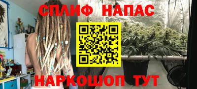 apvp Гусиноозёрск