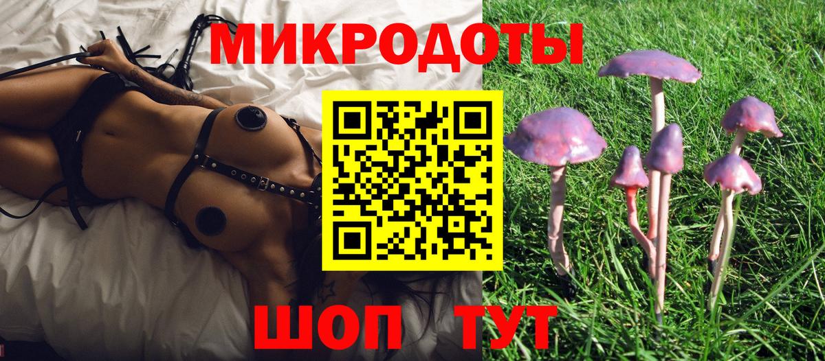 Ликино-Дулёво  Псилоцибиновые грибы MAGIC MUSHROOMS  Вход с VPN 