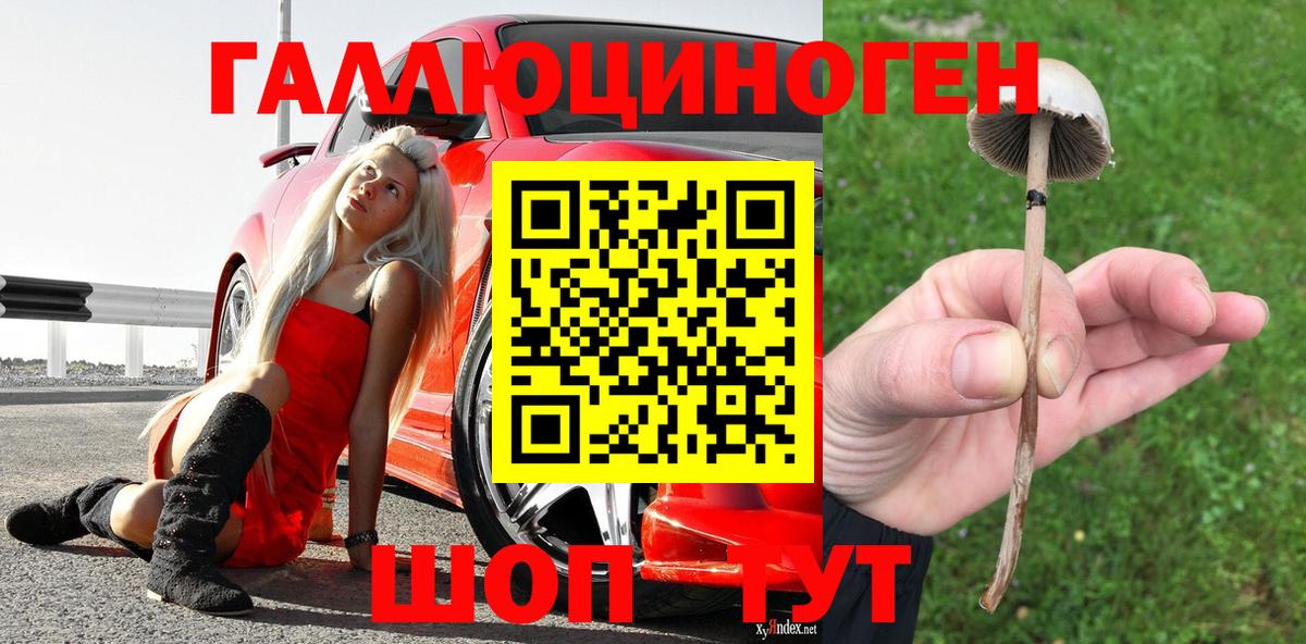 Псилоцибиновые грибы мухоморы Ликино-Дулёво